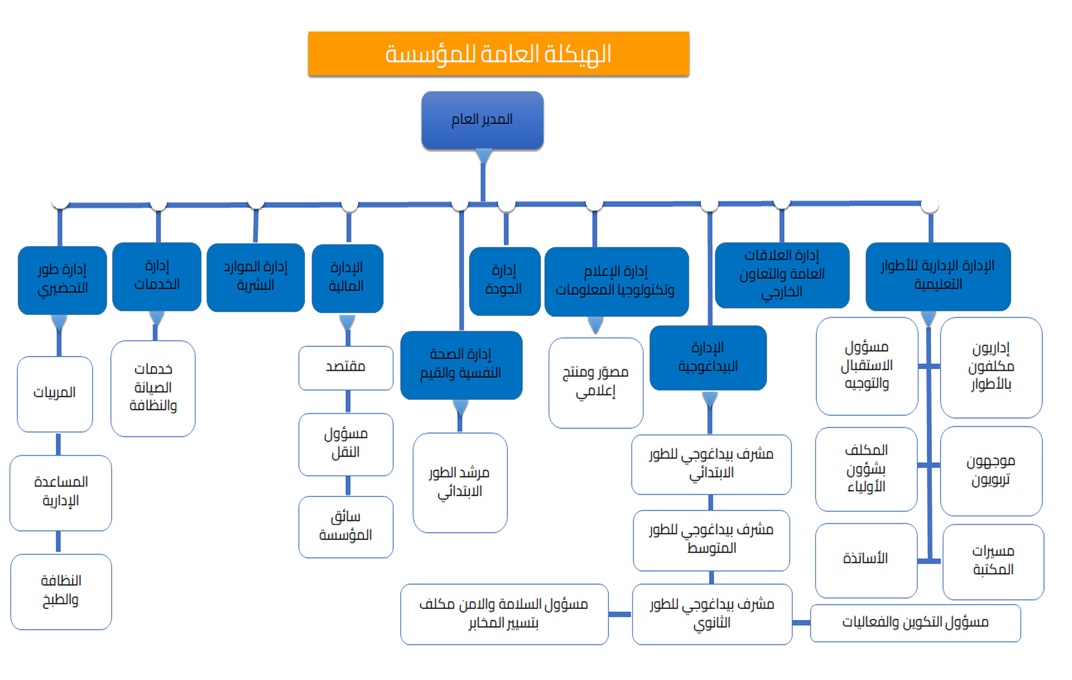 الهيكل التنظيمى