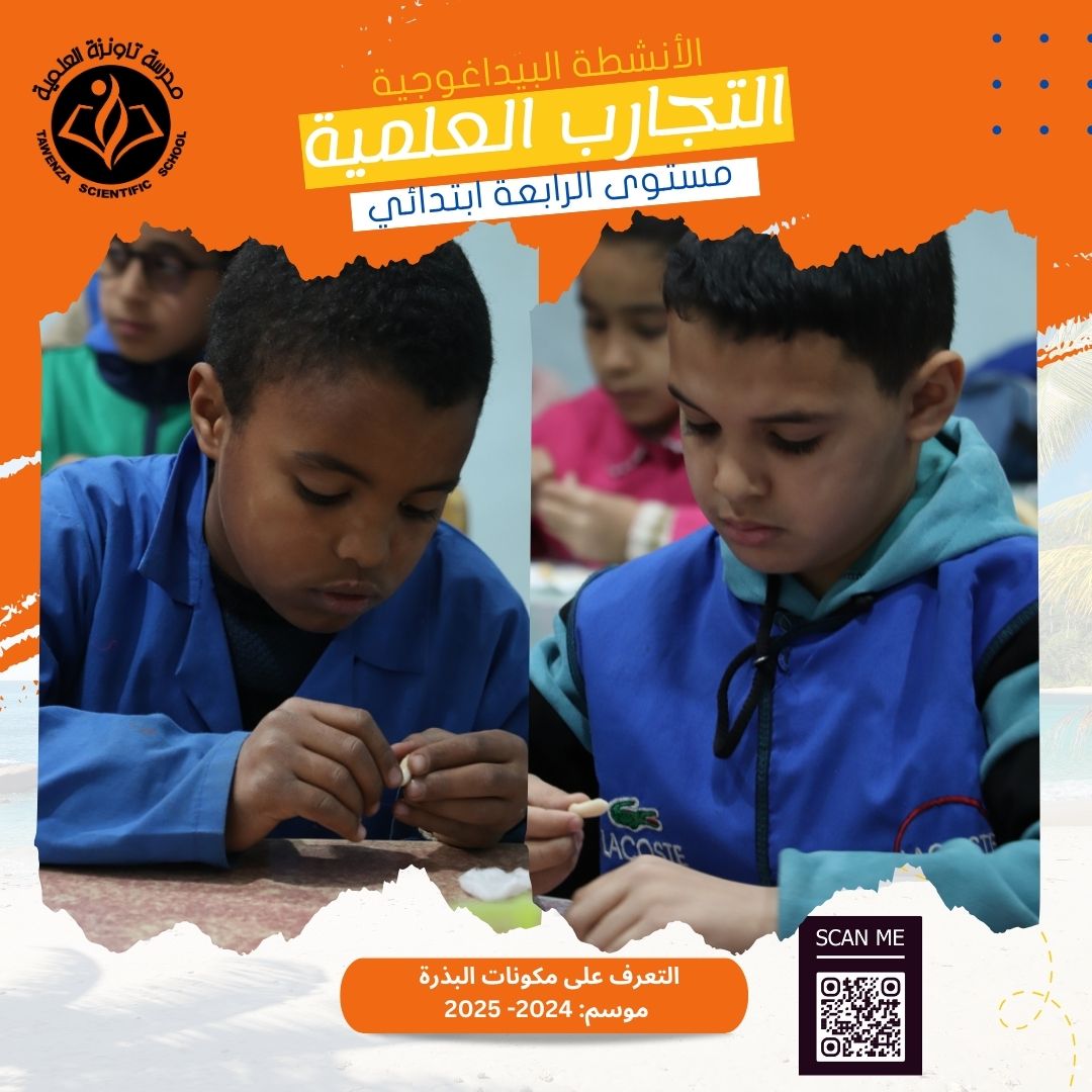 اكتشاف أجزاء البذرة