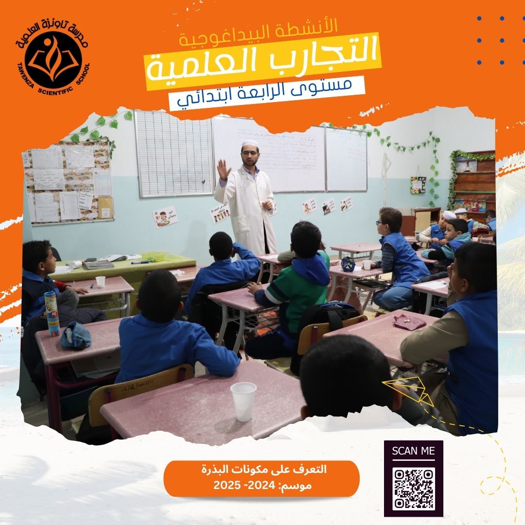 اكتشاف أجزاء البذرة