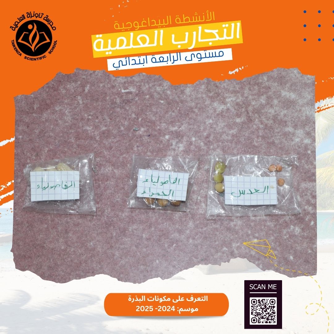اكتشاف أجزاء البذرة