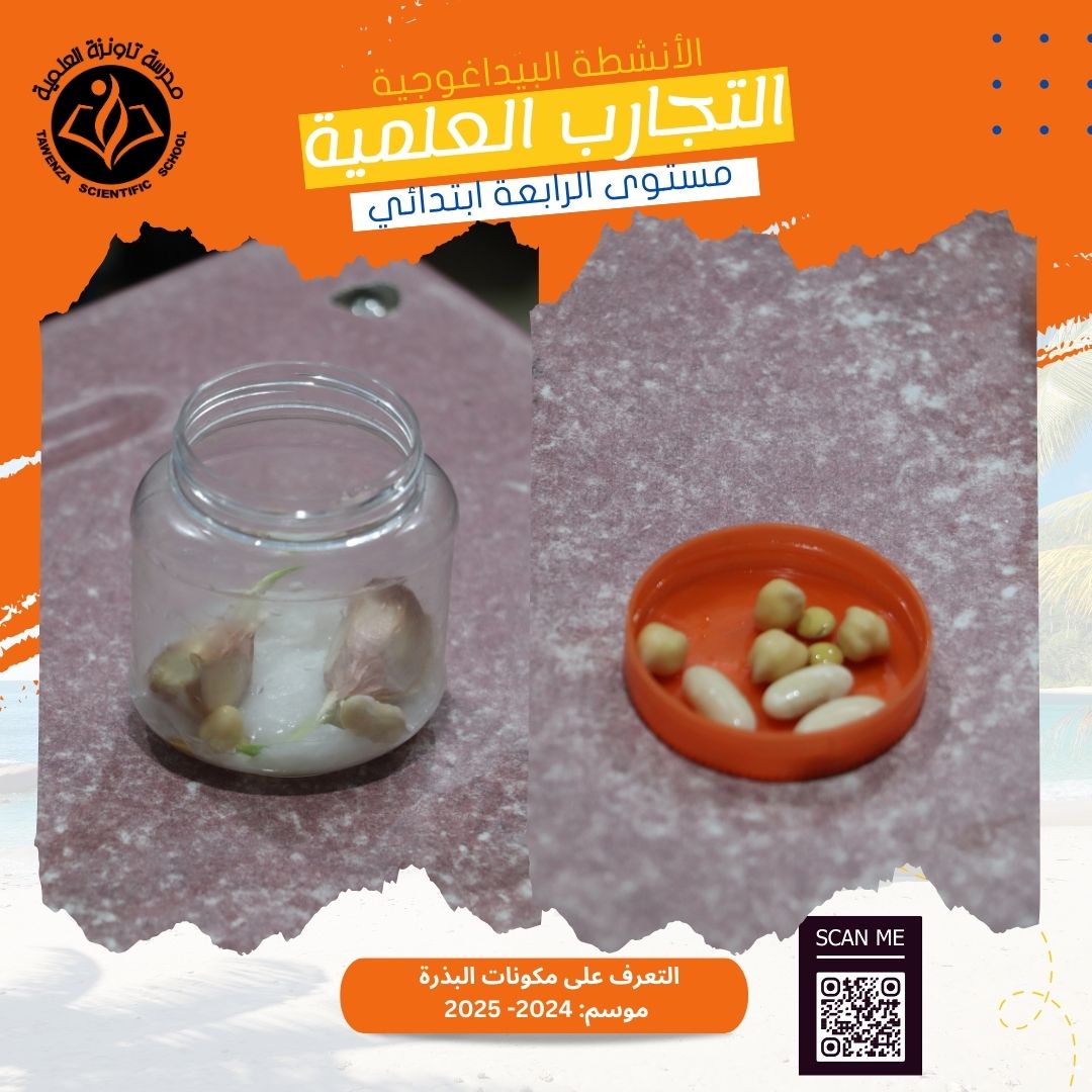 اكتشاف أجزاء البذرة