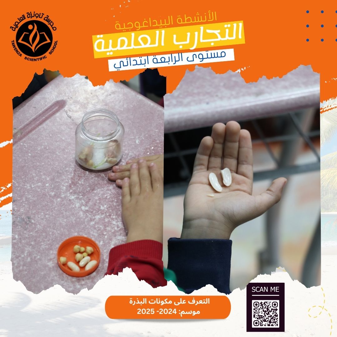 اكتشاف أجزاء البذرة