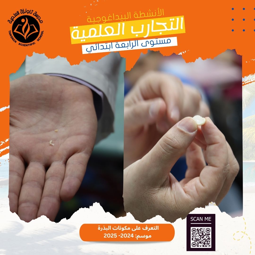 اكتشاف أجزاء البذرة