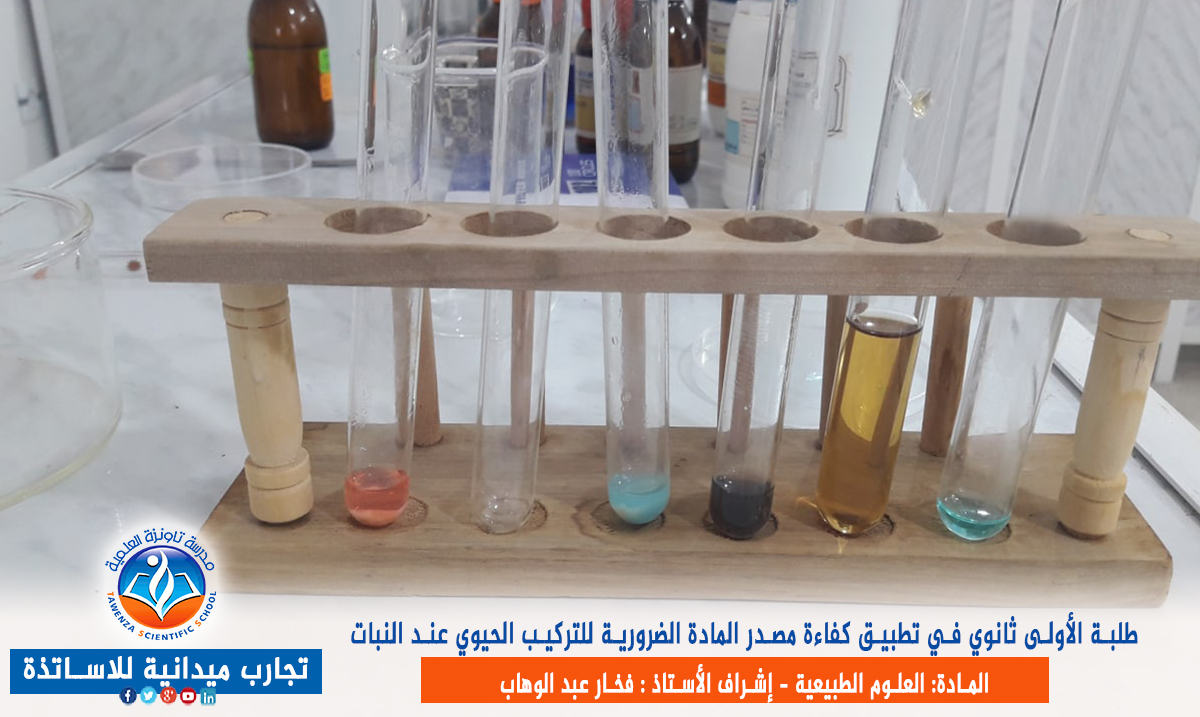 الكشف عن المواد المعدنية والعضوية داخل الأعضاء الادخارية