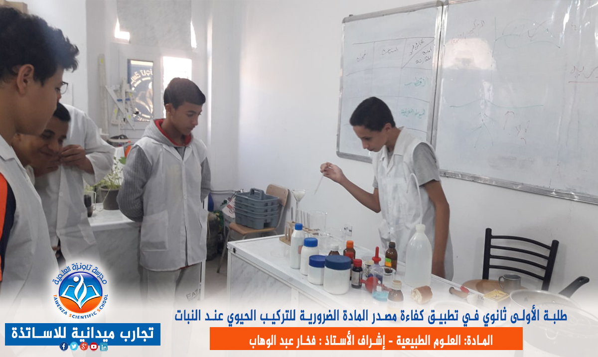 الكشف عن المواد المعدنية والعضوية داخل الأعضاء الادخارية