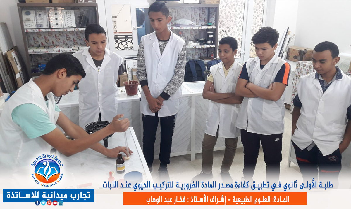 الكشف عن المواد المعدنية والعضوية داخل الأعضاء الادخارية
