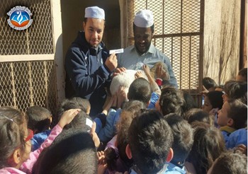 Trip Report To animal farm 1 st y
